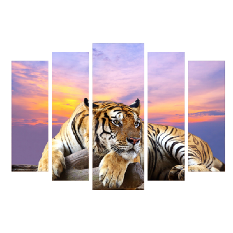 Картина модульна 5 частин Тигр 80 х 120 см (8395-Q-011)