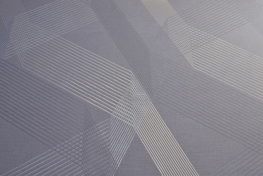 Шпалери вінілові на флізеліновій основі Vinil Wallpaper Factory ТФШ Межі Декор світло-сірий 1,06 х 10,05м (4-1431),