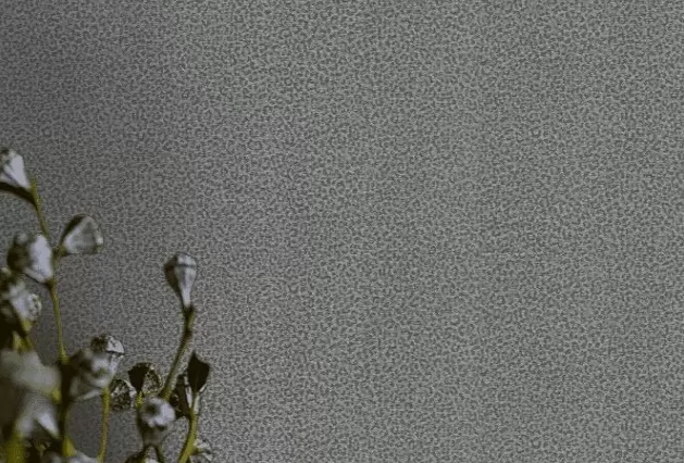 Шпалери вінілові на флізеліновій основі Wallpaper Roberto Cavalli Home сірий 1,06 х 10,05м (RC19019), Сірий, Сірий, Шостка, Чорноморськ, Чернівці, Чернігів, Черкаси, Червоноград, Хмельницький, Харків, Умань, Ужгород, Тернопіль, Суми, Стрий, Рівне, Прилуки, Полтава, Первомайськ, Павлоград, Одеса, Новомосковськ, Новоград-Волинський, Нововолинськ, Нікополь, Миколаїв, Ніжин, Мукачеве, Львів, Луцьк, Кропивницький, Кривий Ріг, Кременчук, Коростень, Конотоп, Коломия, Ковель, Кам'янське, Кам'янець-Подільський, Калуш, Ізмаїл, Івано-Франківськ, Запоріжжя, Житомир, Дрогобич, Дніпро, Горішні Плавні, Вінниця, Бровари, Бердичів, Біла Церква, Олександрія, Красиві
