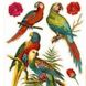 Наклейка декоративная АртДекор №39 Попугаи (6277 - 39)