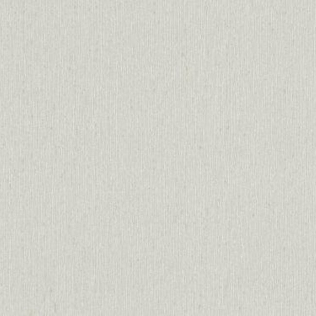 Шпалери вінілові на флізеліновій основі Слов'янські шпалери В109 Амур сірий 1,06 х 10,05м (3567 - 04)