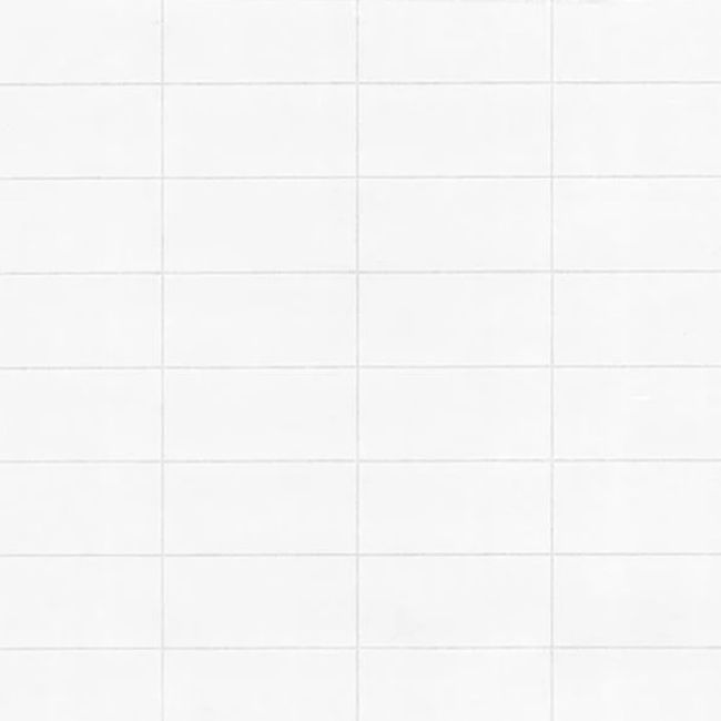 Обои виниловые на флизелиновой основе белые P+S International Profiwall 1.06 x 25м (03986-44)
