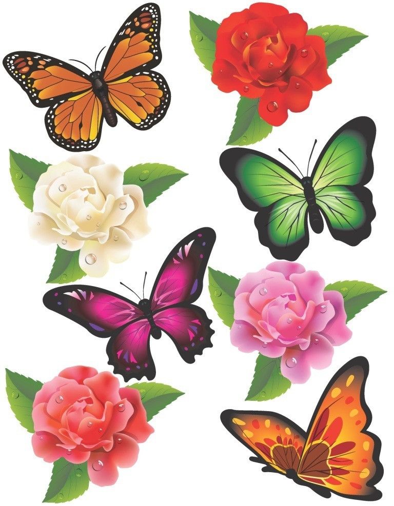 Наклейка декоративна ZV №9 Метелики з квітами (9170 - ZV9)