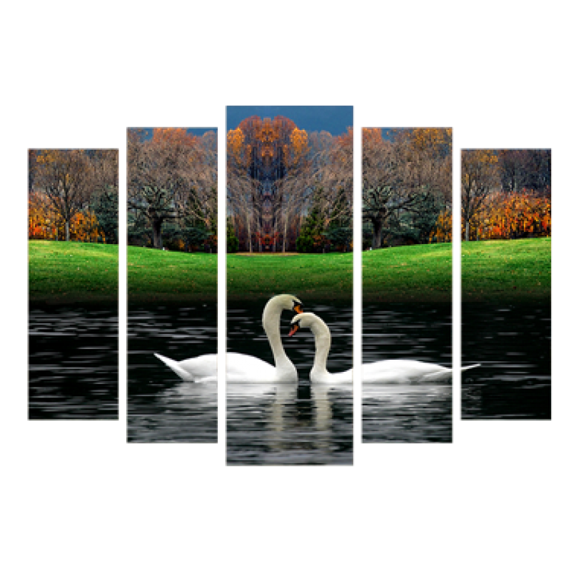 Картина модульная 5 частей Лебеди на озере 80 х 120 см (8397-Q-017)