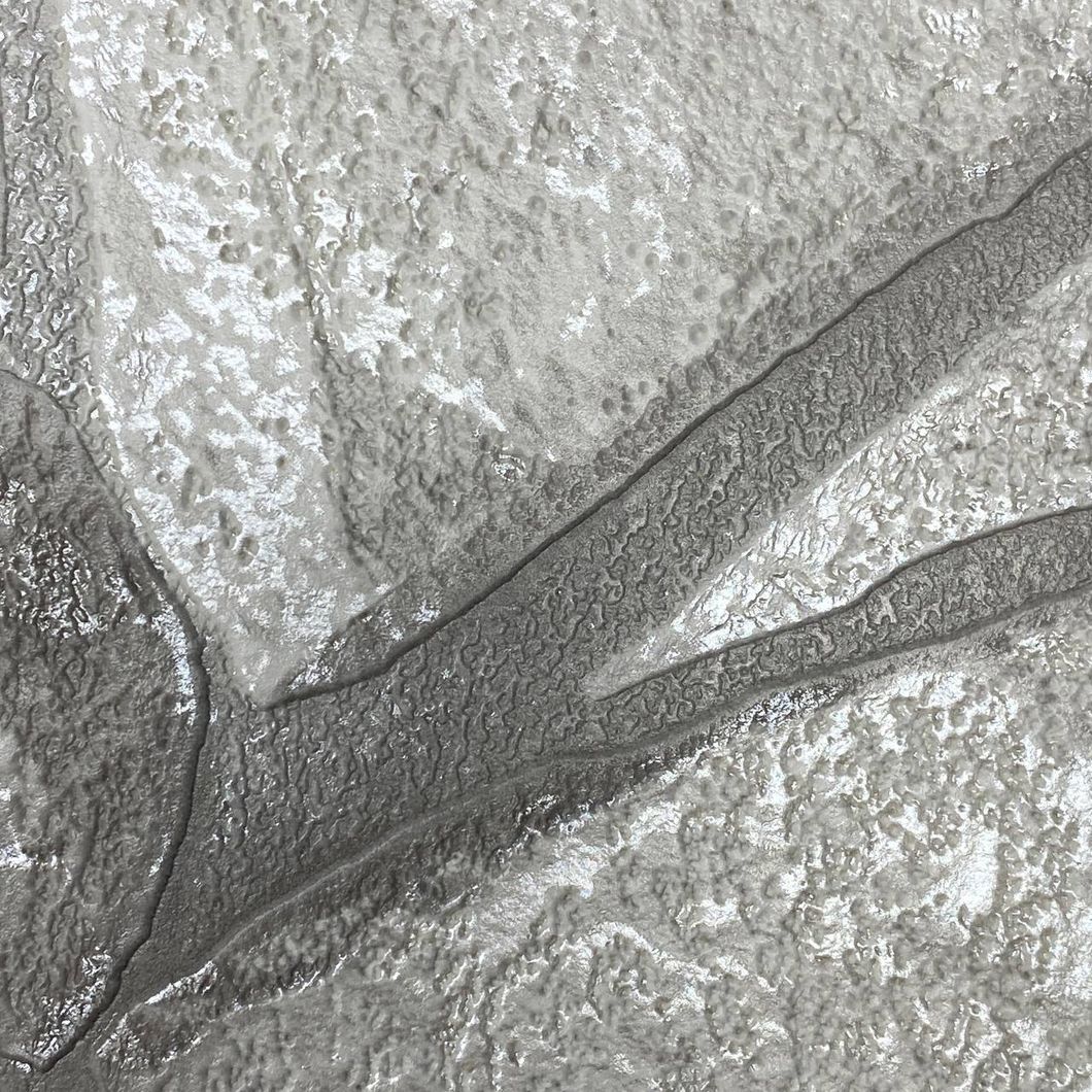 Шпалери вінілові на паперовій основі Сірі супер мийка Слов'янські шпалери В49,4 Expromt  0,53 х 10м (5863-03)