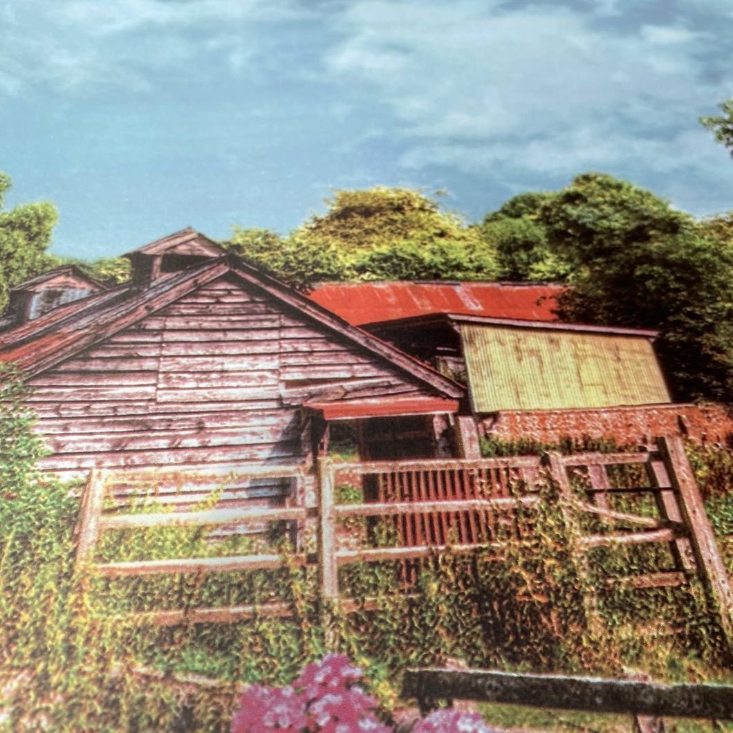 Клеенка на стол ПВХ на основе Петухи и курочки зелёный 1,4 х 1м (100-143), Зелёный, Зелёный