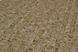 Шпалери вінілові на паперовій основі супер мийка Слов'янські шпалери Expromt В49,4 Короїд коричневий 0,53 х 10,05м (5656-02)