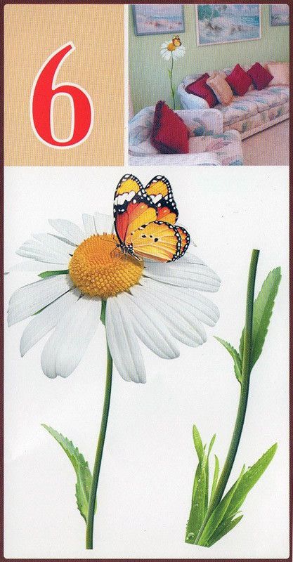 Наклейка декоративная АртДекор №6 Ромашка бабочка (397-6)