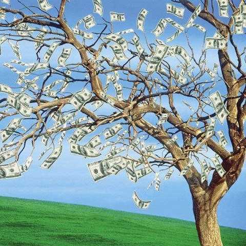 Картина с секретом: делаем денежное дерево своими руками.