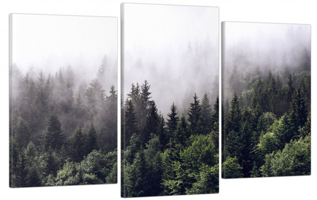 Модульна картина у вітальню / спальню для інтер'єру "Туманний ліс" 3 частини 53x100 см MK30099_E