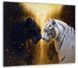 Картина на холсте МАKO "Инь и Ян тигры " 50x70 см MK10606_5070