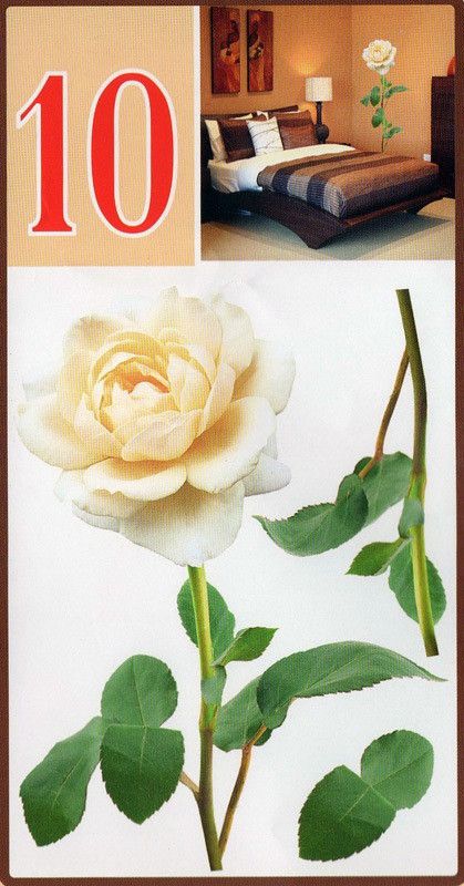 Наклейка декоративная АртДекор №10 Белая роза (404-10)