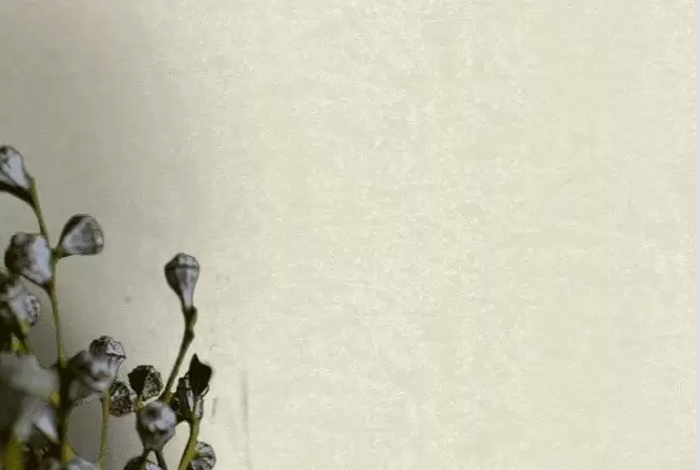Шпалери вінілові на флізеліновій основі Wallpaper Roberto Cavalli Home бежевий 1,06 х 10,05м (RC19037), Бежевий, Бежевий
