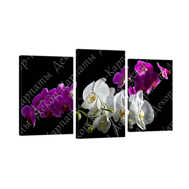Картина модульная 3 части Орхидея 70 х 110 см (8306-С-20)