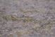 Шпалери вінілові на флізеліновій основі Слов'янські шпалери LeGrand Platinum В118 Карамболь 2 бузковий 1,06 х 10,05м (8575-13)