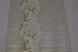 Шпалери паперові Слов'янські шпалери Colorit В27,4 Танго зелений 0,53 х 10,05м (7128-04)