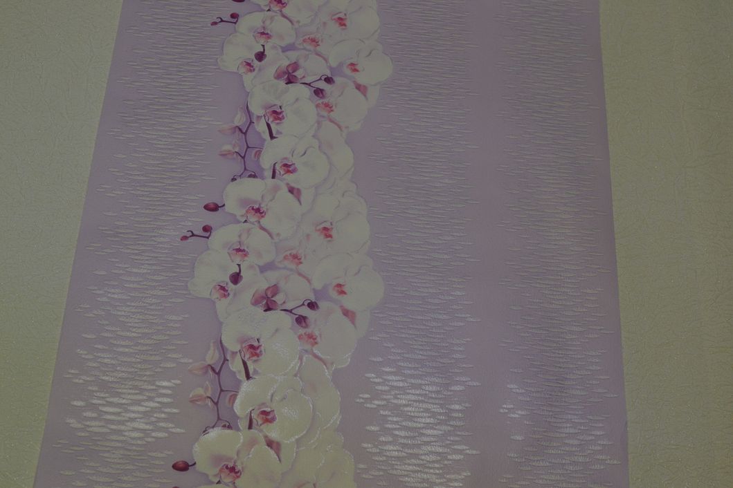 Шпалери паперові Слов'янські шпалери Colorit В27,4 Танго рожевий 0,53 х 10,05м (7128-06)