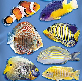 Наклейка декоративная Наш Декупаж Подводный мир рыбки (1187 - ТП121)