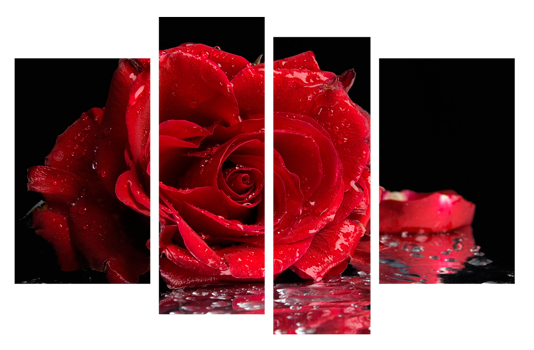 Картина модульна 4 частини Червона троянда 80 х 120 см (3895-С174)