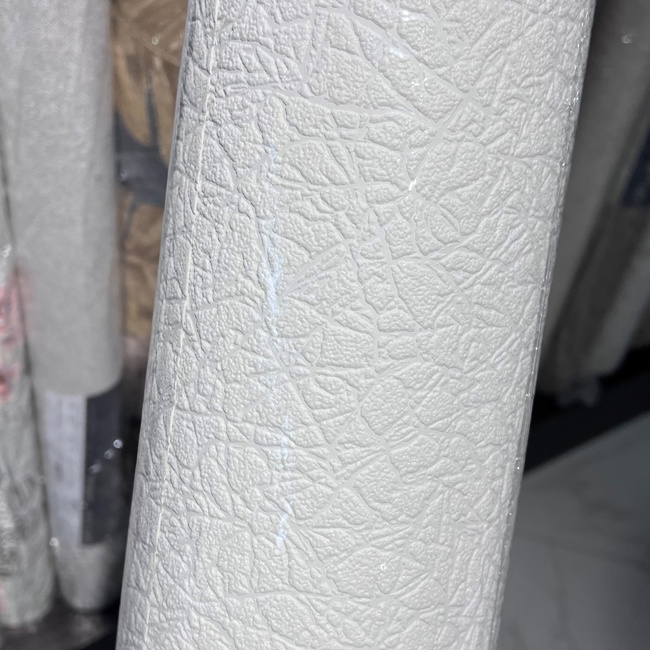 Шпалери вінілові на паперовій основі ArtGrand Bravo білий 0,53 х 15м (80206BR40)