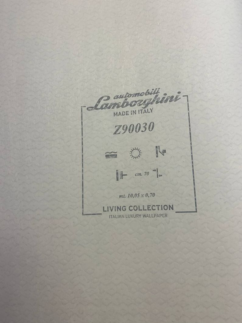 Обои виниловые на флизелиновой основе Zambaiti Parati Lamborghini 2 серый 0,70 х 10,05м (Z90030)