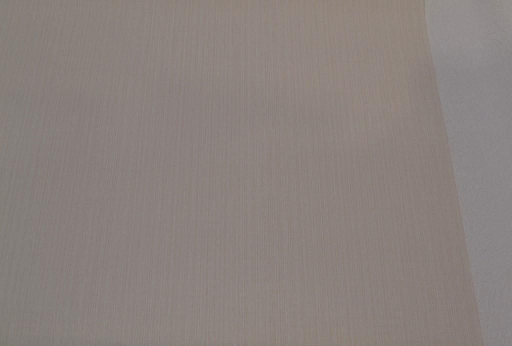 Обои виниловые на флизелиновой основе Sintra Ammi Ray Tenderness бежевый 1,06 х 10,05м (373514)