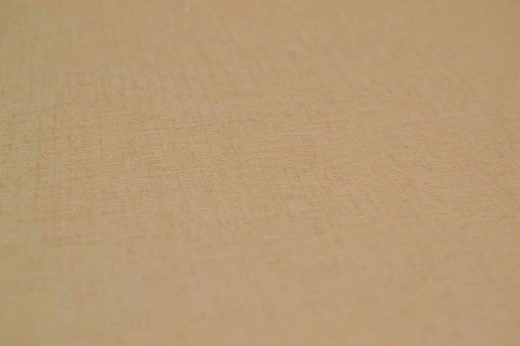 Обои акриловые на бумажной основе Слобожанские обои песочный 0,53 х 10,05м (481-04)
