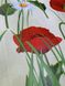 Клейонка на стіл ПВХ на нетканій основі Маки ромашки квіти червоний 1,37 х 1м (100-202), Червоний, Червоний